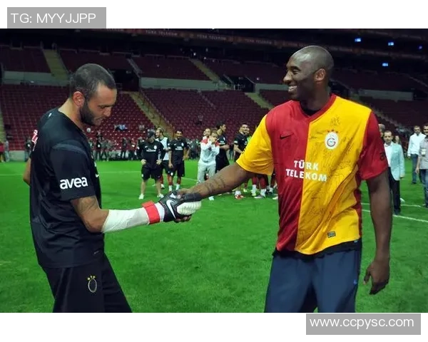 会功夫的足球明星：盘点那些在绿茵场上闪耀的武术高手