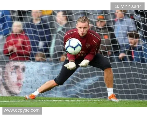 足球守门员球星豪宅揭秘顶级守护者的奢华生活与私人领地 足球守门员球星豪宅揭秘顶级守护者的奢华生活与私人领地