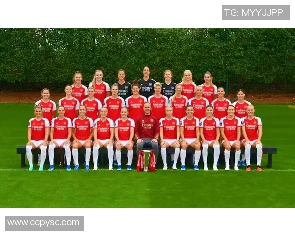 每支足球队内的球星人数与球队实力的关系探析