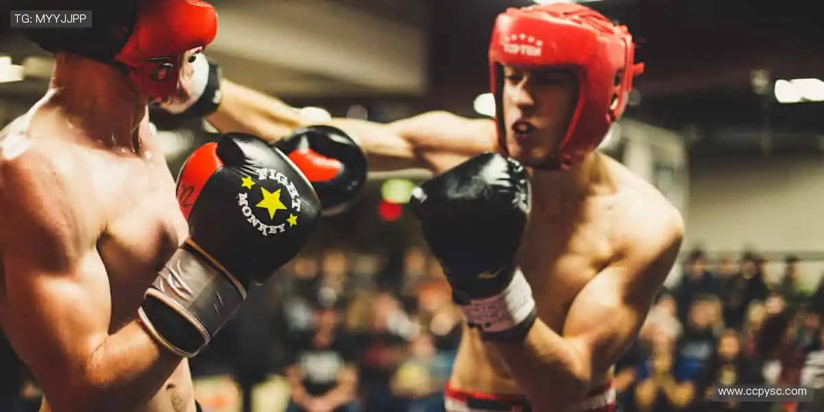 🏀全明星阵容，震撼来袭！篮球联赛官网，每一场都是视觉盛宴！🎯💥